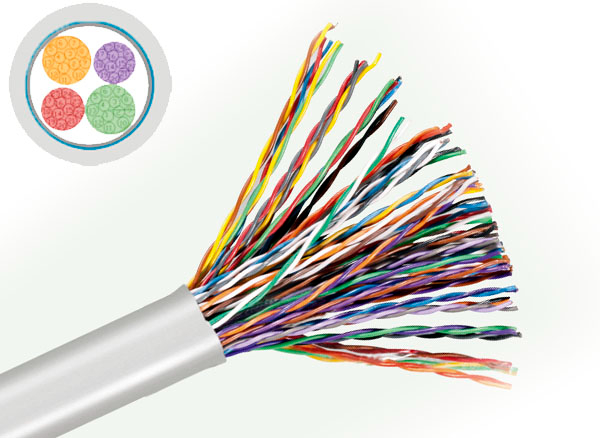 三類(lèi)Cat3 50 Pair Shield Cable